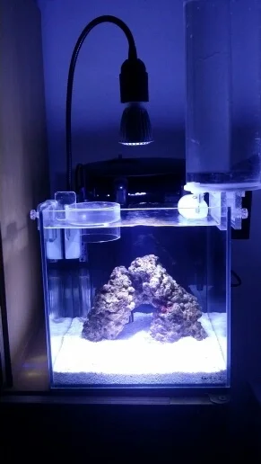 free customize led plant light clip light with E27 lamp holder gooseneck clamp lamp bracket for nano tank reef coral
