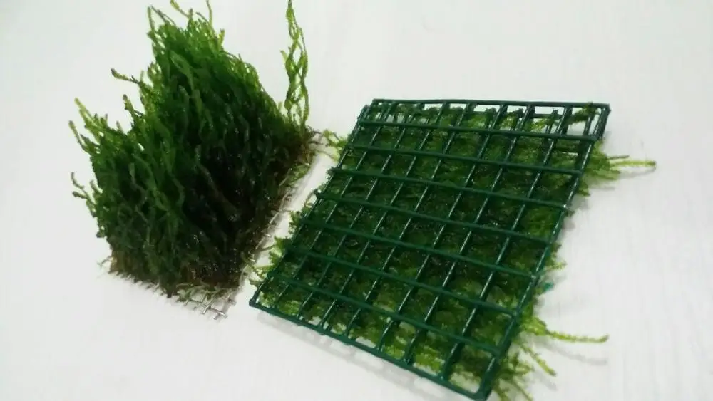 Пламени мох 5x5 из сетчатой ткани