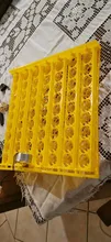 Incubation-Equipment Poultry-Incubator Turn-Tray Chickens-Ducks Automatically-Turn-Eggs