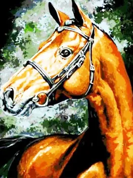 

Coloring by numbers on the cardboard "Arabic jump" color kit ks045