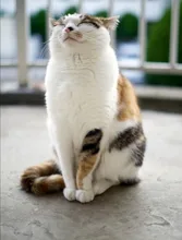 Strap Wrist-Band Metal Stainless-Steel Xiaomi 5-Pulsera for 6-5 4-Bracelet