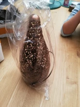 Solar-Light Garland Hanging Garden-Decoration Outdoor Waterproof 