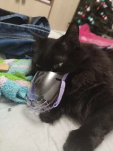 Bozal transpirable Para perros y gatos, mascarilla antimordeduras, máscara Para la boca Para gatitos y mascotas, bozal Para limpieza de baños de gatos, herramienta Para Gat