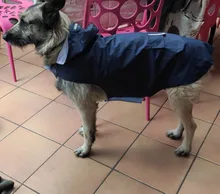 Impermeable para perro mascota impermeable perros grandes ropa de abrigo al aire libre chaqueta de lluvia reflectante Golden Retriever Labrador Husky gran poncho