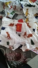 Ropa interior de algodón para bebés, pantalones cortos de dibujos animados de dinosaurios, para niños pequeños, 5 uds.