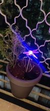 Outdoor Garden Stake-Lights Lawn Solar Butterfly/bird-Lawn-Lamps Multicolor Led