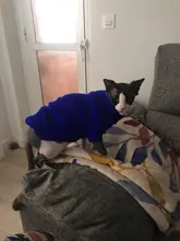 MPK-suéter SWA para gatos y perros pequeños, ropa para gatos, 12 opciones de colores + 6 tamaños para cada Color Da