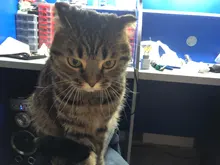 Cleaning-Tool Wrench Faucet Bubbler Water-Outlet Universal Four-Sides 1pc Disassembly