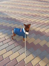 De lujo de invierno chaqueta perro cachorro perro ropa para mascotas ropa de perro abrigo Denim Jeans traje Chihuahua caniche mascota Bichón ropa 35S1