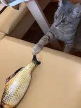 Cheap Pet Products Fish Toy Cat Scratch Board Scratching Post Catnip toys for Cat Pet