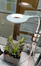 Table-Lamp Led-Light Usb-Socket Eye-Protection Saving-Energy Foldable No-Flicker Freely