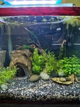 Bright-Clip-Lamp Led-Light Aquarium Plants Fish-Tank Blue Waterproof Super-Slim 220v