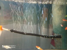 Pump Diffuser Tube Bubble-Bar Oxygen Aquarium Air-Stone Fish-Tank Wall Hydroponic Hose