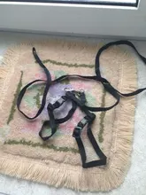 Leash-Set Harness Pet-Products Cat-Collar Adjustable Belt Dog Animals Kitten Nylon And