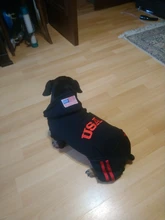 Jumpsuit Clothing Hoodies Jacket Pet-Dog-Coats Small Dogs Sport Apparel Winter Fashion