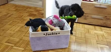 Caja de almacenamiento personalizada para mascotas, cestas de almacenamiento para perro, ropa, juguetes para perros, sin olor, impresión gratuita, nombre de Perro con pata bonita