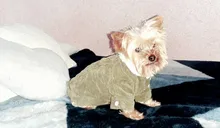 French Bulldog Small Dogs Pugs Winter For Chihuahua Outfit Pink Warm Clothing Roupa Pet-38s2