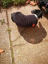 Dog Clothing Jacket Pullover French Bulldog Fleece Shirt Pet-Coat Puppy Camouflage Warm