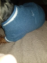 Pet-Outfits Hoodie Daisy-Letter Yorkies Blue Winter Fashion Cute Boy Velvet Ropa Perro