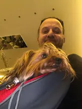 Mochila de policarbonato para perros y gatos, bolsa de hombro de viaje con malla frontal, portador de Animal PEQUEÑO, 1 unidad