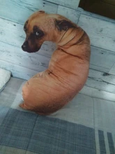 Cojín con estampado de perro 3D divertido, cojín creativo, muñeca de peluche regalo, decoración del hogar, cojín con estampado de perro para niños