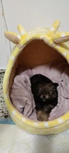 Towel-Cushion Blanket Beds Sleeping-Cover Fluffy-Towel Dog Fleece Pet-Dog/cats-Mat 