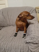 Puppy Socks Cat-Shoes Paw-Protector Anti-Slip Dogs Indoor-Wear Small Winter Cotton Knit