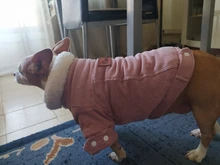 French Bulldog Small Dogs Pugs Winter For Chihuahua Outfit Pink Warm Clothing Roupa Pet-38s2