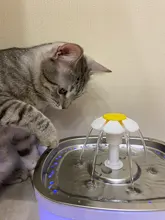 2.4L Pet automática fuente de agua para gato con LED eléctrico USB perro gato mascotas automática de fuente de beber para mascotas dispensador