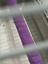 Jaula de pájaros de Madera Juguetes masticables para loro, perchas, soporte de pata, estación de molienda, plataforma para picaduras, periquito, ratones, hámsters de Color aleatorio