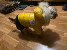 Jacket Bulldog-Clothing Pet-Coat Puppy Dogs Pug Chihuahua French Waterproof Winter Small