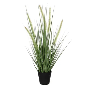

DOGTAIL PURPLE GRASS PVC