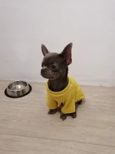 Ropa de perro de moda ropa de invierno para perros pequeños perros mediano chaqueta de abrigo Chihuahua ropa para mascotas para pequeño mediano perros Carlino