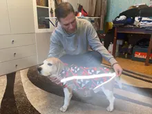 Dog Coat Dog-Jacket Labrador Reflective Large Breed Chihuahua Waterproof Winter Overalls