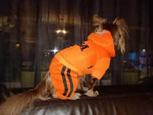 Jumpsuit Clothing Hoodies Jacket Pet-Dog-Coats Small Dogs Sport Apparel Winter Fashion