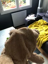 Mochila De felpa para mujer, nueva mochila de muñecos, bolsa informal con personalidad de oso de dibujos animados, B2305