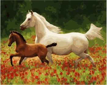 

Painting by numbers PK 49020 walk on the strands 40*50 exclusive