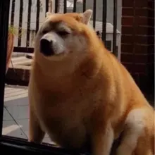 O***n