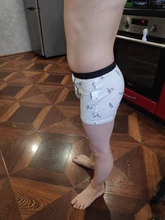 Bóxer de algodón para niños, ropa interior de 2 a 14 años, Diseño de dinosaurio de elefante, bragas suaves, lote de 2 uds., ZL89