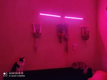 USB Phytolamps for Plants 5V LED Grow Light Strip 2835 Chip 1m 2m 3m LED Phyto Tape 