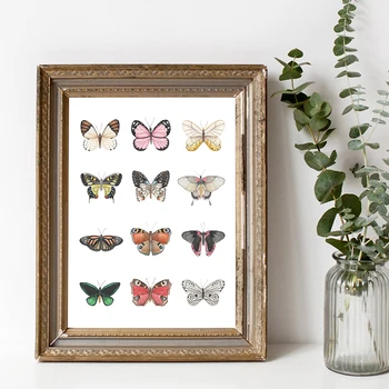 

Butterfly Print Papillon Butterfly Nature Poster Home Room Decor , Minimalist Art Canvas Painting Picture Wall Decoration