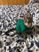 MPK-suéter SWA para gatos y perros pequeños, ropa para gatos, 12 opciones de colores + 6 tamaños para cada Color Da