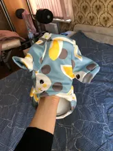 Rabbit Print Pet Cat Costume for Cats Soft Kedi Katten Sweatshirt Hoodie Spring Summer