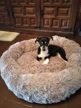 DEKO-cama de perro supersuave, caseta redonda mullidas de gato, cálida y cómoda, cojín para dormir, sofá lavable, felpa para cachorro