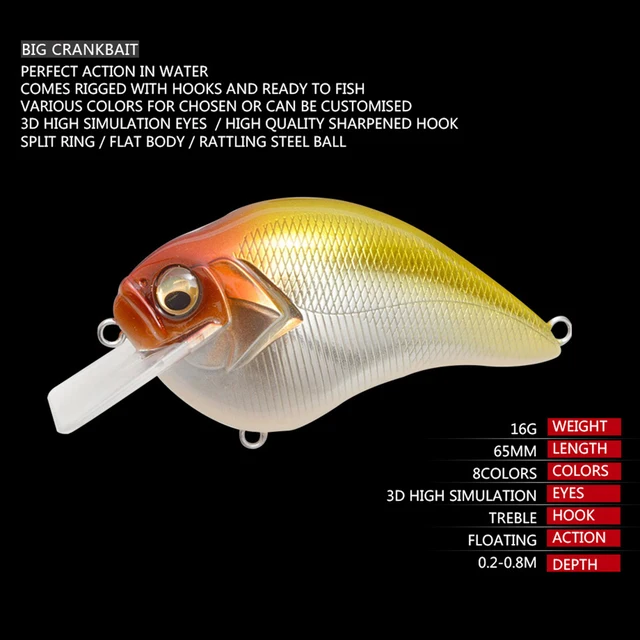 Shallow Diving Crankbait 2.75, 1/2 Oz Rattling Square Bill Crankbaits Hard  Bait Fishing Lure Fall Bass Fishing