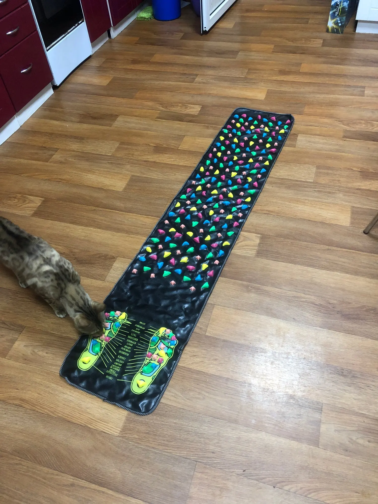 Helpful Foot Massage mat photo review