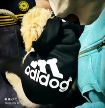 Adidog-ropa para perros pequeños, chaqueta con capucha deportiva de invierno, suéter de algodón suave abrigado puro, Chihuahua de peluche, ropa para cachorros