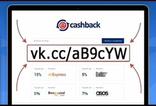 Dog-Collar Dogs Pink Customized Engraved Yorkies Chihuahua for Small