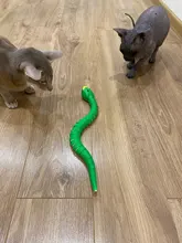 Serpiente de Control remoto por infrarrojos para niños, juguete de serpiente y cascabel de huevo, Animal, truco terrorífico