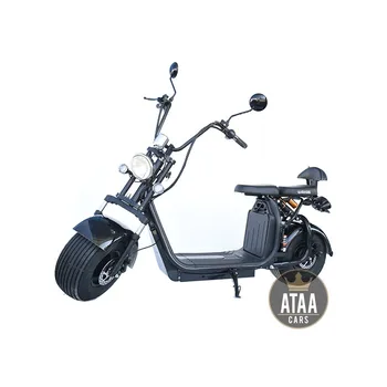 

Citycoco ATAA Matriculable Double removable Battery